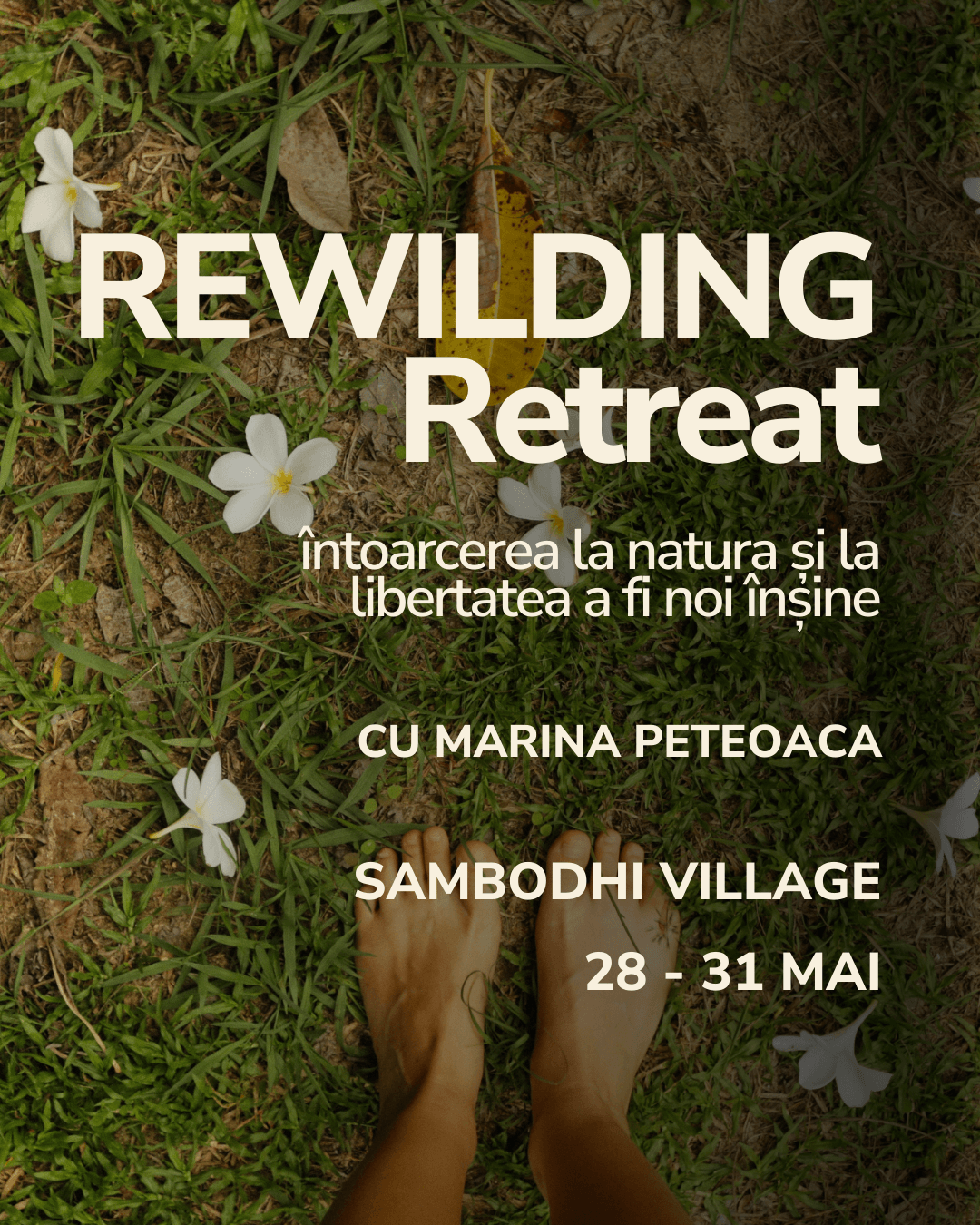 Rewilding Retreat 28-31 mai