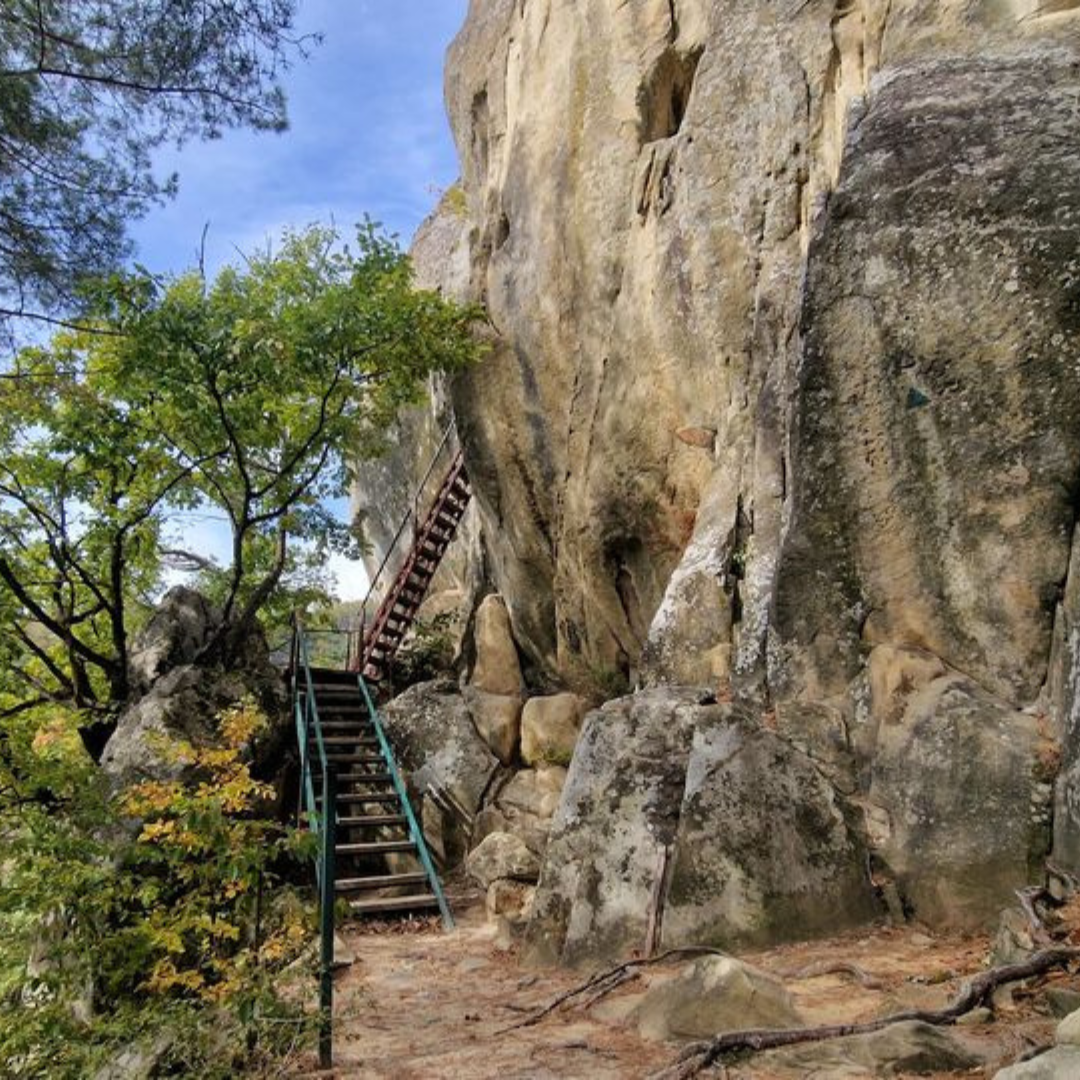 Adventure Yoga Retreat: Redescopera Curajul, Increderea si Bucuria Jocului!