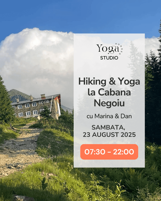 Hiking Yoga Adventure - Porumbacu de Sus - Cabana Negoiu