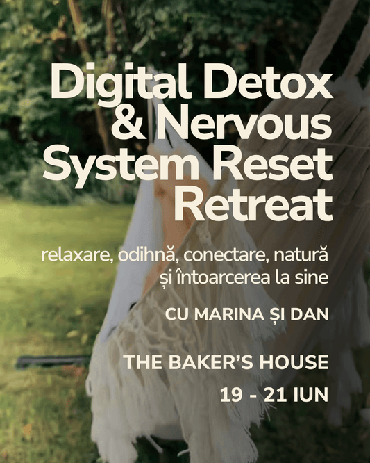 Digital Detox & Nervous System Reset Retreat